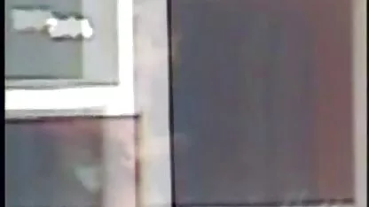 Babes desnudan el coño y comienzan a acariciarlas. lindos chochos peludos